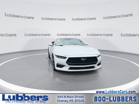 Used 2024 Ford Mustang Premium RWD image 3