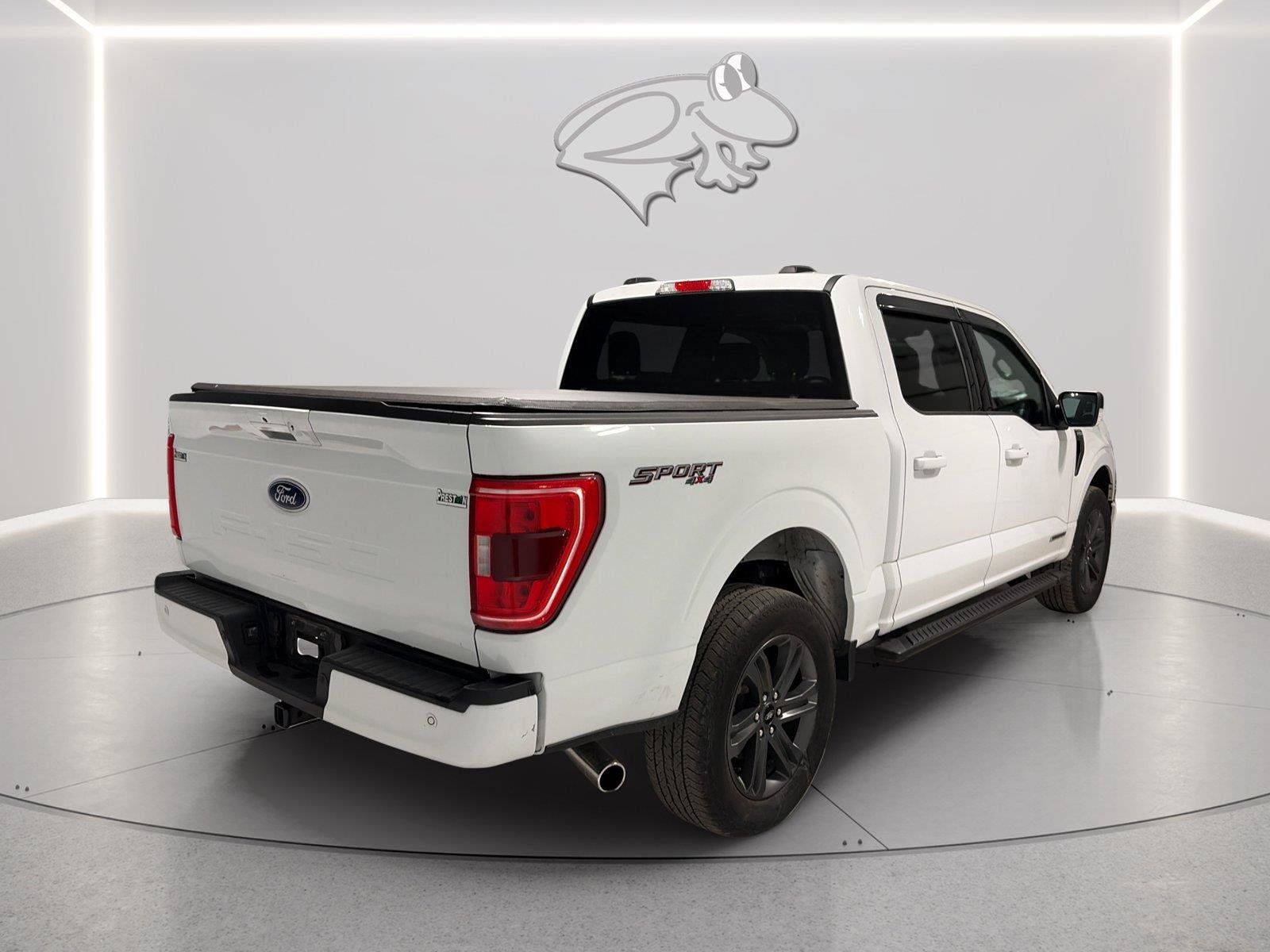 Used 2023 Ford F150 XLT w/ Equipment Group 302A High AWD/4WD image 5