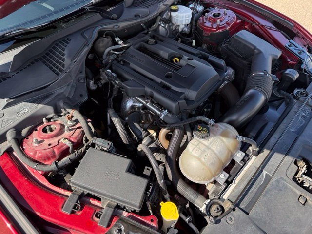 Certified 2019 Ford Mustang Coupe w/ Equipment Group 101A RWD image 39