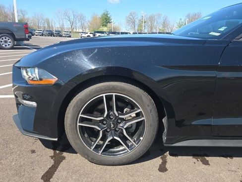 Used 2019 Ford Mustang Coupe w/ Equipment Group 101A image 15