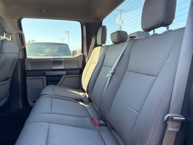 Used 2020 Ford F150 XLT w/ Equipment Group 302A Luxury AWD/4WD image 19