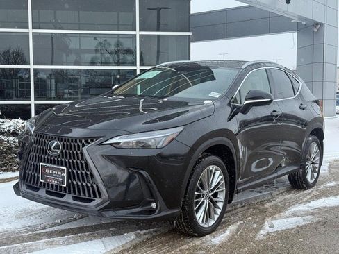 Used 2025 Lexus NX 350h AWD w/ Premium Package image 8