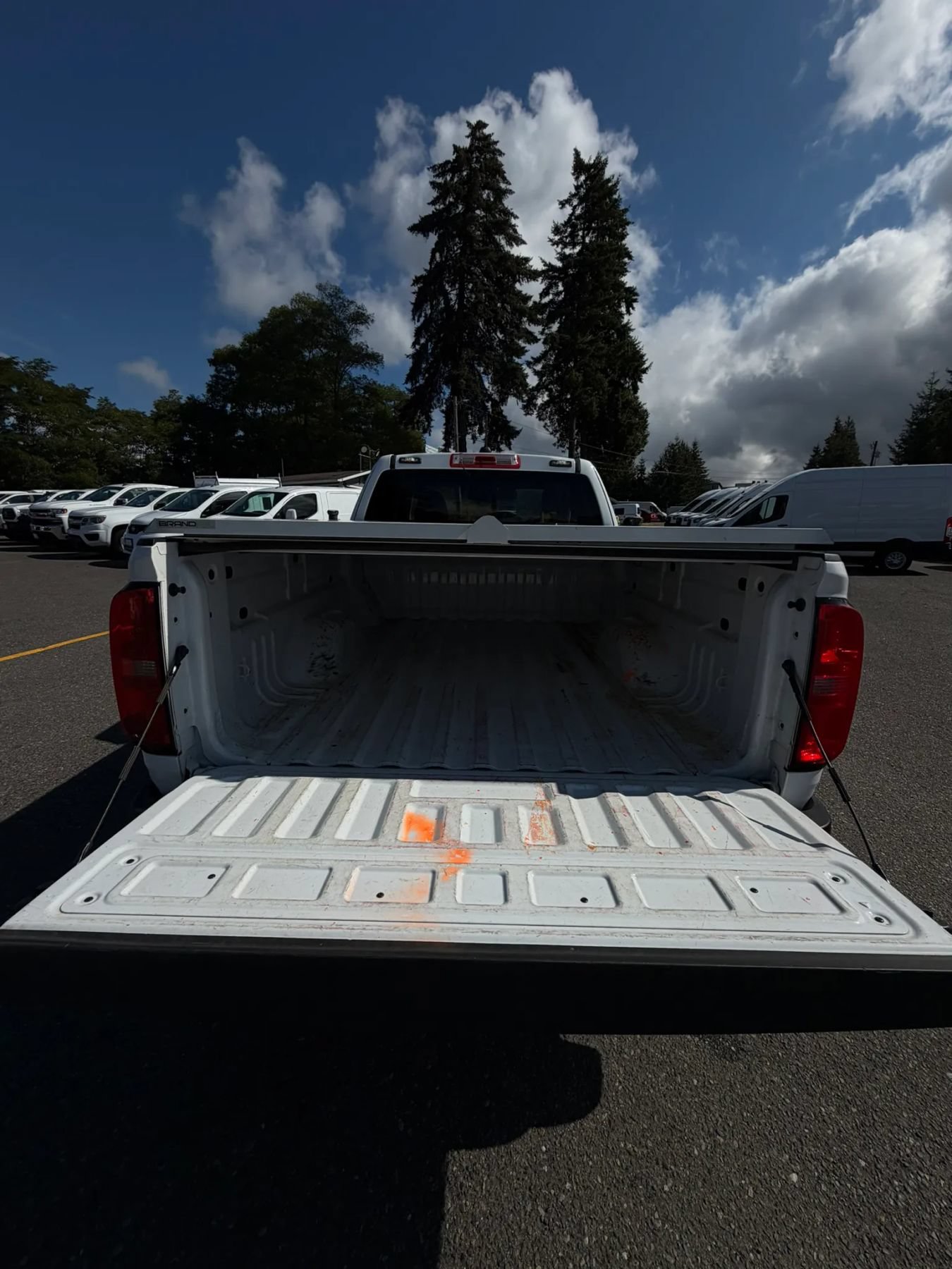 Used 2022 Chevrolet Colorado LT w/ Fleet Safety Package RWD image 16