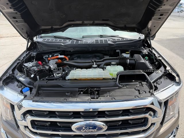 Used 2023 Ford F150 XLT w/ Equipment Group 302A High AWD/4WD image 22