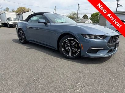 Used 2024 Ford Mustang Premium