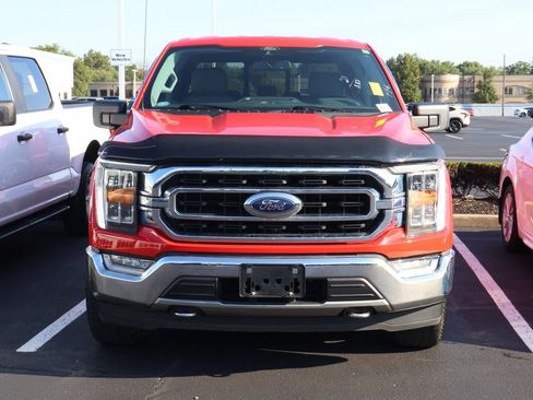 Used 2021 Ford F150 XLT w/ Equipment Group 302A High AWD/4WD image 2