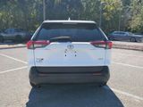 Used 2020 Toyota RAV4 XLE Premium image 6