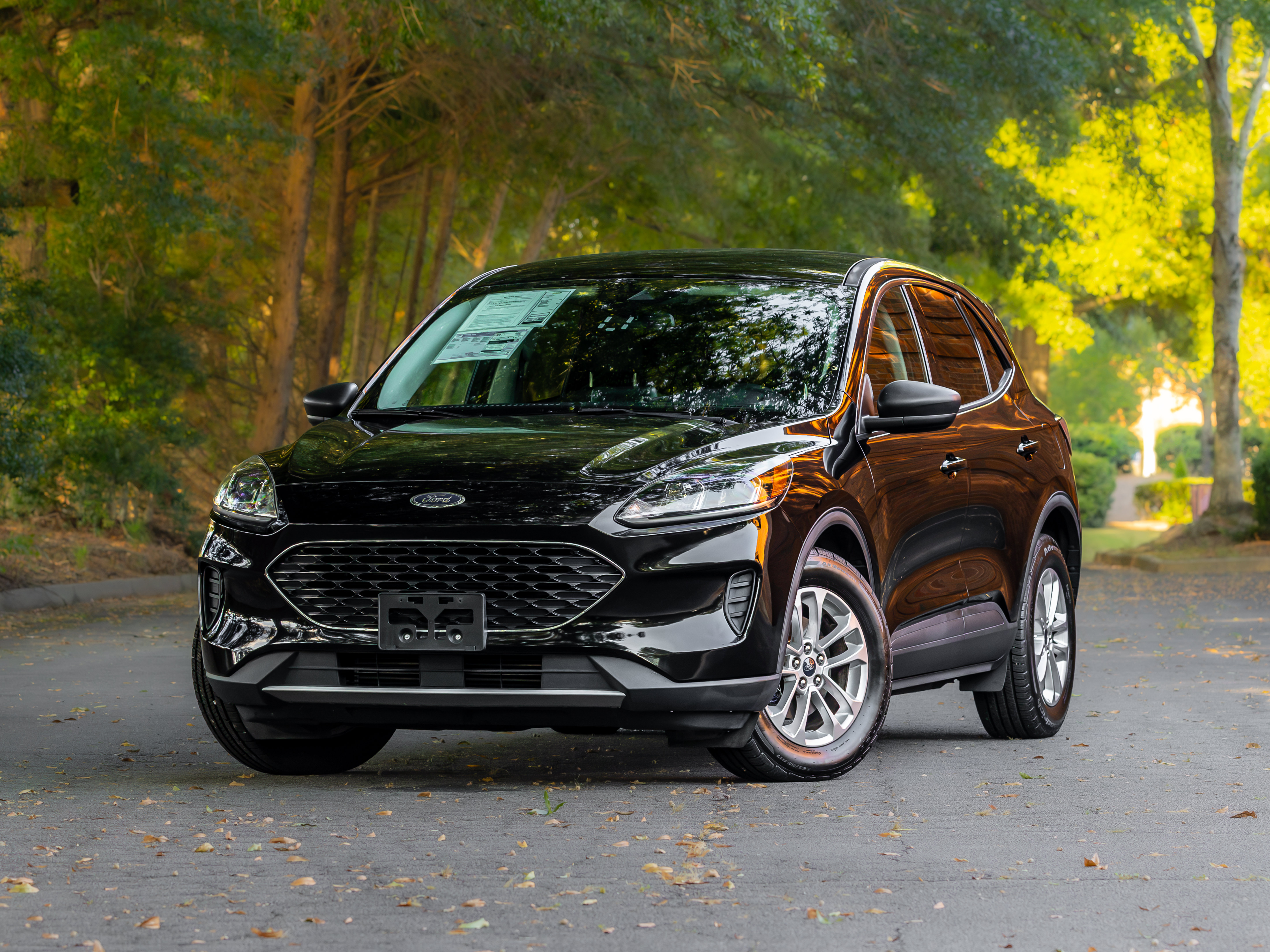 Used 2022 Ford Escape SE FWD image 2