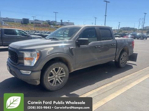 Used 2021 Ford F150 XL w/ STX Appearance Package AWD/4WD image 1
