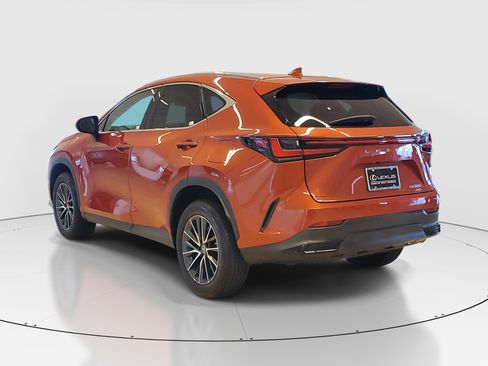 Used 2023 Lexus NX 350 AWD image 5