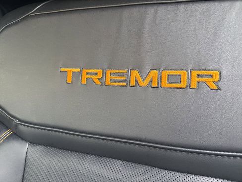 Used 2025 Ford Expedition Tremor image 15