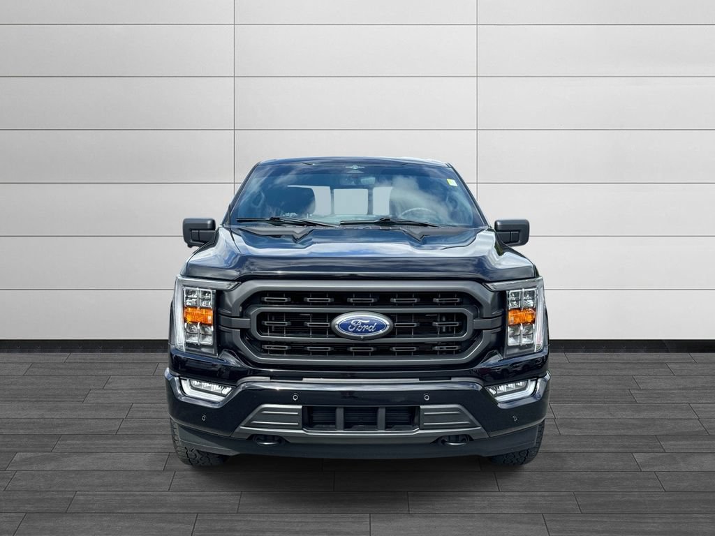 Used 2023 Ford F150 XLT w/ Equipment Group 302A High AWD/4WD image 8