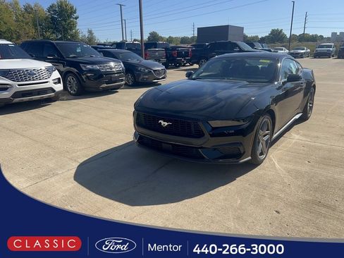 New 2025 Ford Mustang Premium image 1