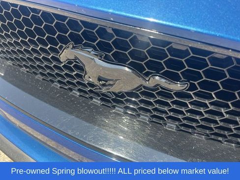 Used 2023 Ford Mustang GT Premium w/ Mustang Nite Pony Package RWD image 13