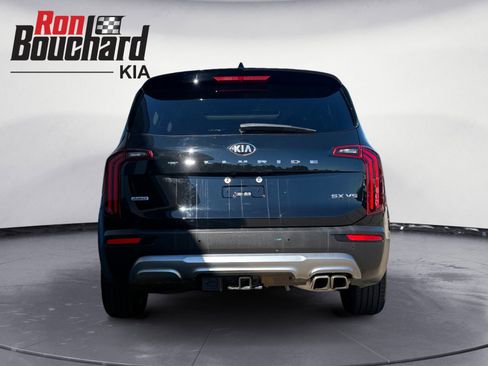 Used 2020 Kia Telluride SX w/ SX Prestige Package image 3