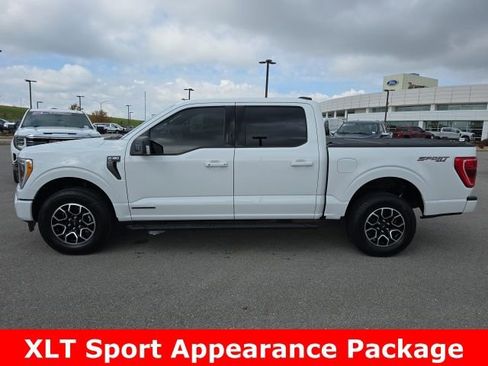 Certified 2023 Ford F150 XLT w/ Equipment Group 302A High image 2