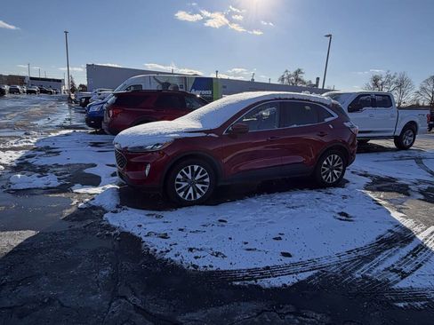 Used 2020 Ford Escape Titanium image 4