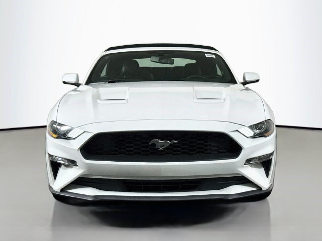 Used 2019 Ford Mustang Premium RWD image 2