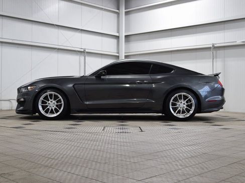 Used 2017 Ford Mustang Shelby GT350 RWD image 4