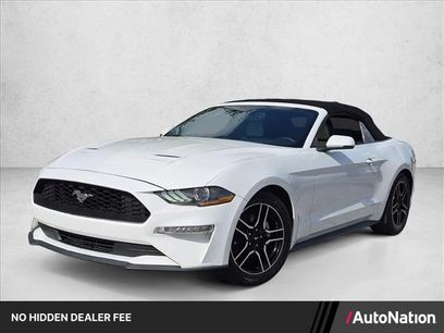 Used 2019 Ford Mustang Premium