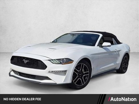 Used 2019 Ford Mustang Premium RWD image 1