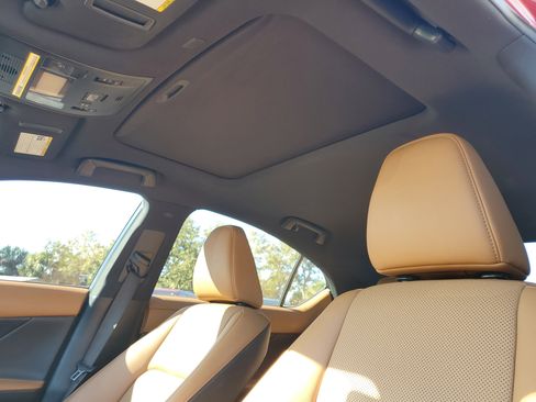 Used 2023 Lexus IS 300 w/ Comfort Package image 21