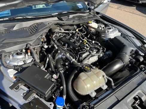 Used 2023 Ford Mustang Premium image 16