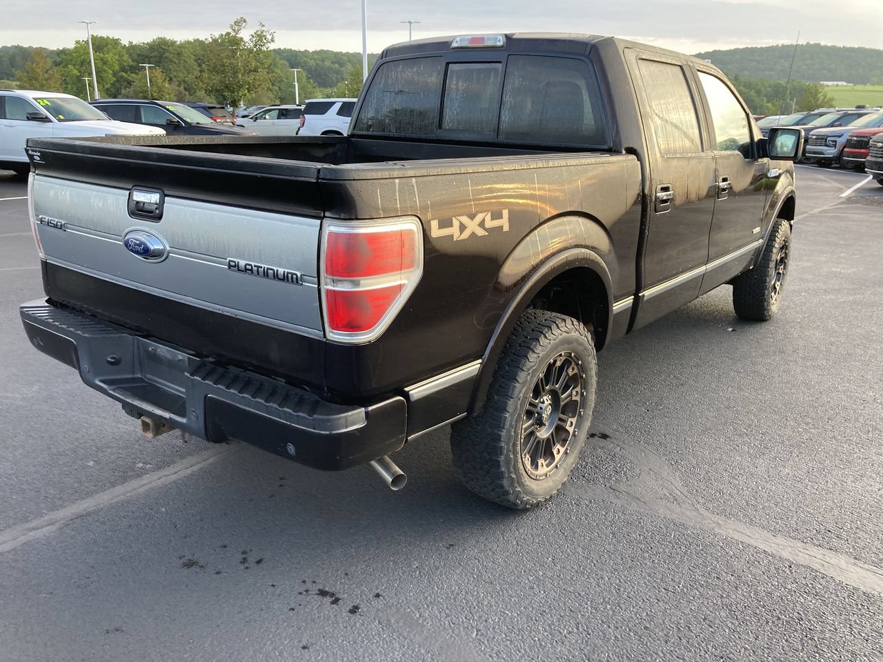 Used 2013 Ford F150 Platinum AWD/4WD image 7