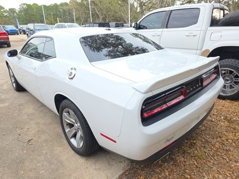 Used 2019 Dodge Challenger SXT image 2