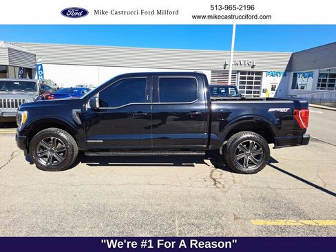 Certified 2021 Ford F150 XLT w/ Equipment Group 302A High image 2