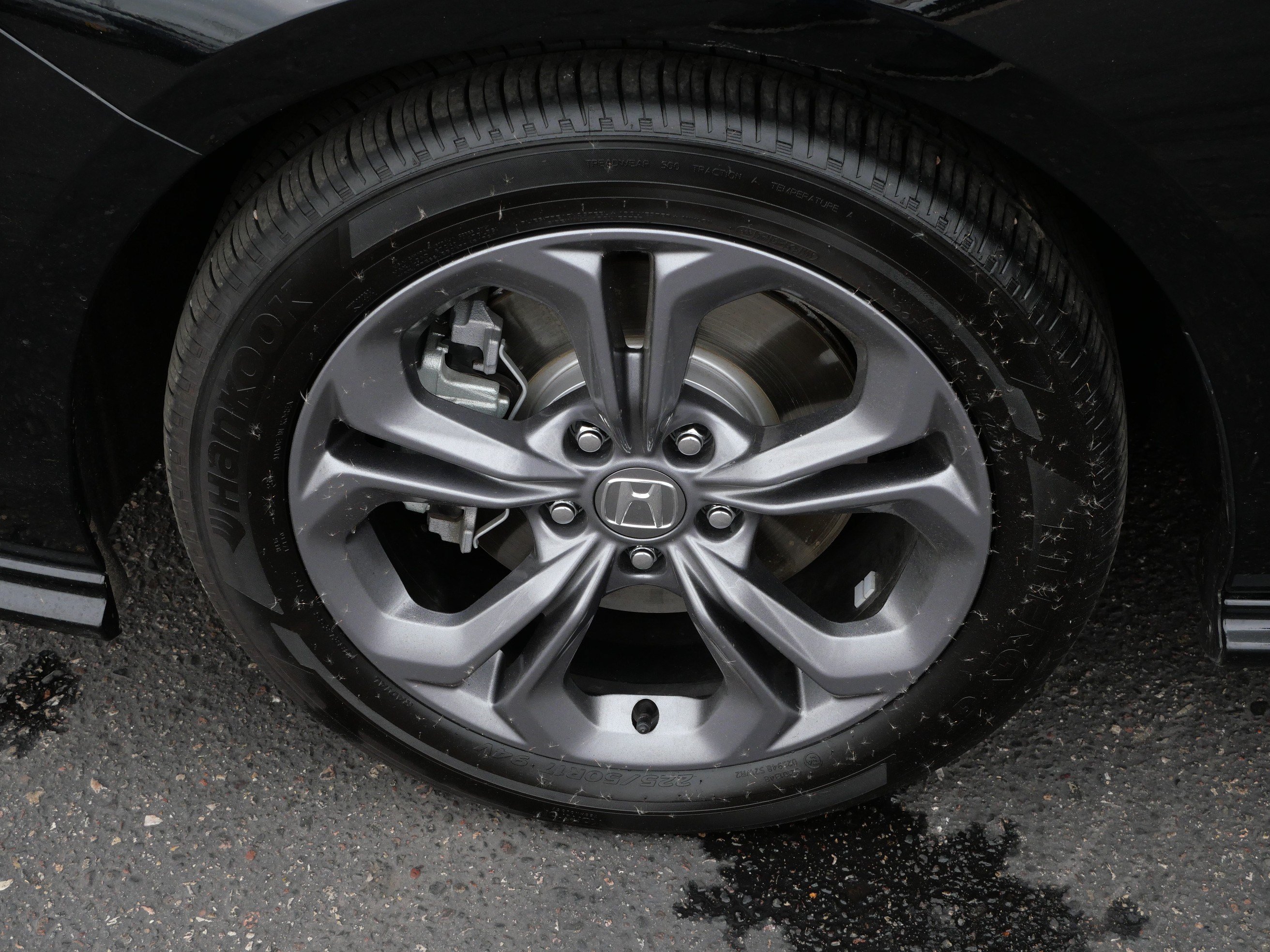 Used 2024 Honda Accord EX-L image 15