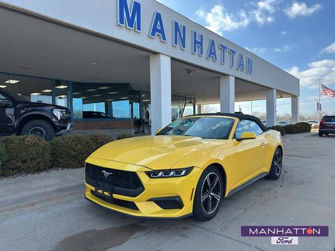 Used 2024 Ford Mustang Premium image 1