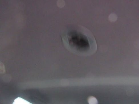 Certified 2024 Chevrolet Tahoe LT image 14