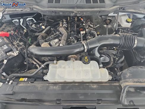 Used 2025 Ford F150 XLT w/ Equipment Group 301A Standard AWD/4WD image 33
