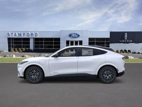 New 2025 Ford Mustang Mach-E Premium w/ Interior Protection Package image 3