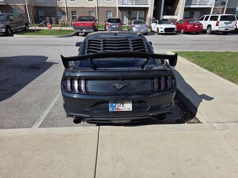 Used 2019 Ford Mustang Coupe w/ Equipment Group 101A image 2