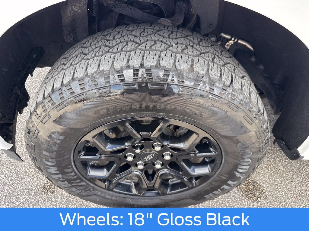 Used 2024 Ford F150 XLT w/ Equipment Group 302A MID AWD/4WD image 13