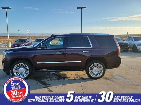 Used 2017 Cadillac Escalade Platinum image 6