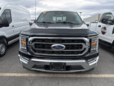 Used 2023 Ford F150 XLT w/ Equipment Group 302A High AWD/4WD image 3