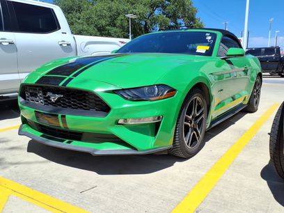 Used 2019 Ford Mustang Premium w/ Equipment Group 201A