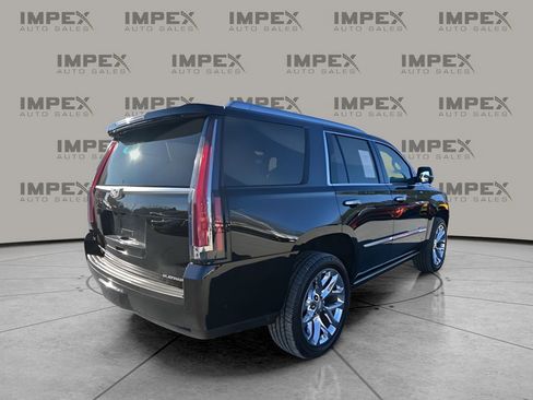 Used 2019 Cadillac Escalade Platinum image 5