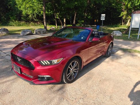 Used 2015 Ford Mustang Premium RWD image 4