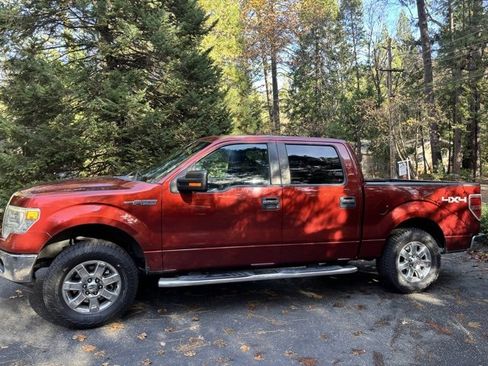 Used 2014 Ford F150 XLT w/ Equipment Group 302A Luxury image 1