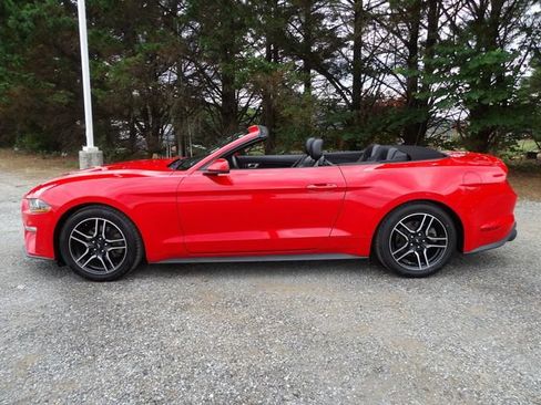 Used 2020 Ford Mustang Premium RWD image 9