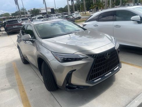 Used 2025 Lexus NX 250 FWD w/ Cold Area Package image 1