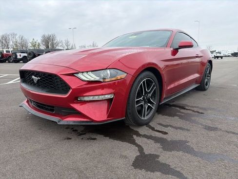 Used 2021 Ford Mustang Coupe w/ Equipment Group 101A image 2