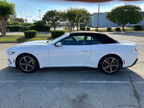 Used 2025 Ford Mustang Premium RWD image 2