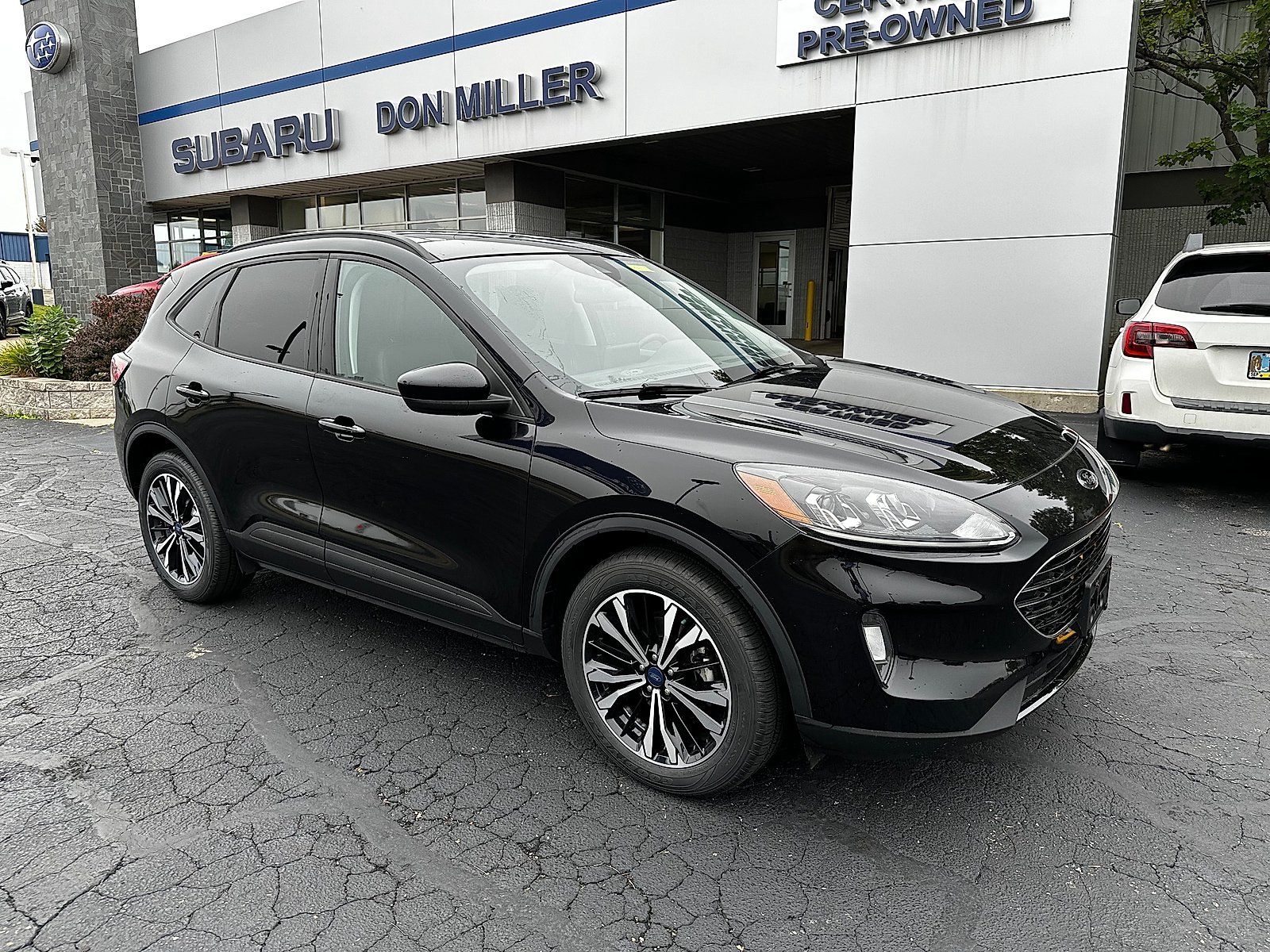Used 2022 Ford Escape SEL w/ SEL Stealth AWD Package image 1