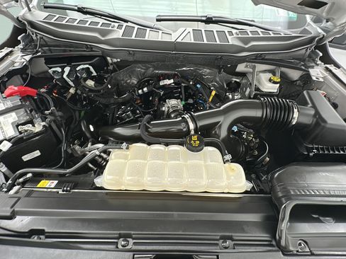 Used 2025 Ford F150 XLT w/ Equipment Group 301A Standard AWD/4WD image 19