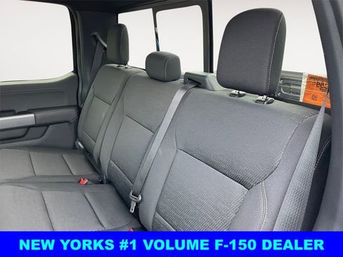 New 2025 Ford F150 XLT w/ Equipment Group 302A MID image 13